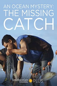 An Ocean Mystery: The Missing Catch