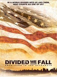 Divided We Fall: Americans In The Aftermath