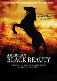 American Black Beauty