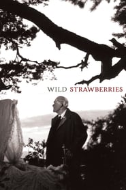 Wild Strawberries