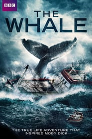 The Whale