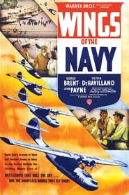 Wings of the Navy