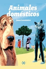 Domestic Animals