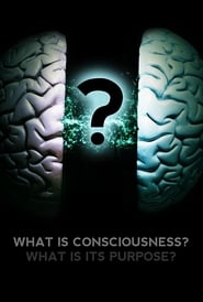 What Is Consciousness? What Is Its Purpose?