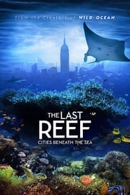 The Last Reef: Cities Beneath the Sea