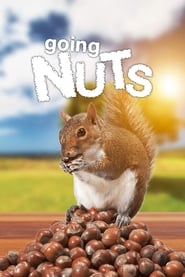 Going Nuts – Tales from the Squirrel World