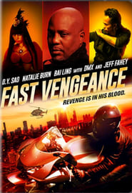 Fast Vengeance